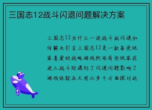 三国志12战斗闪退问题解决方案