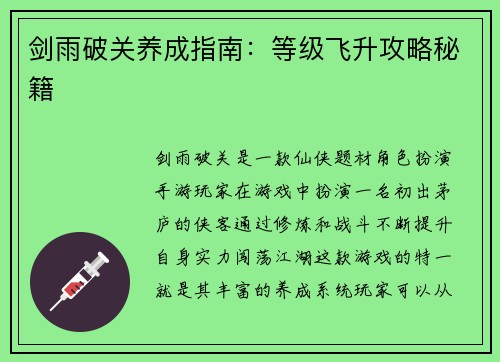 剑雨破关养成指南：等级飞升攻略秘籍